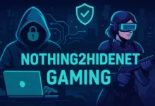 nothing2hidenet gaming