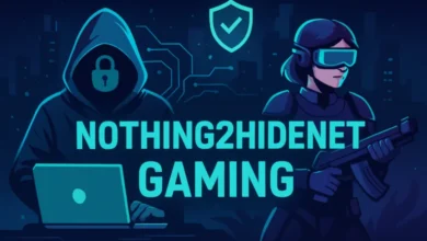 nothing2hidenet gaming